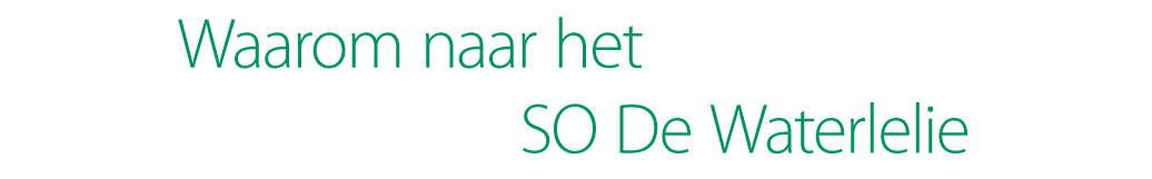 Waarom-naar.-het-SO_pos